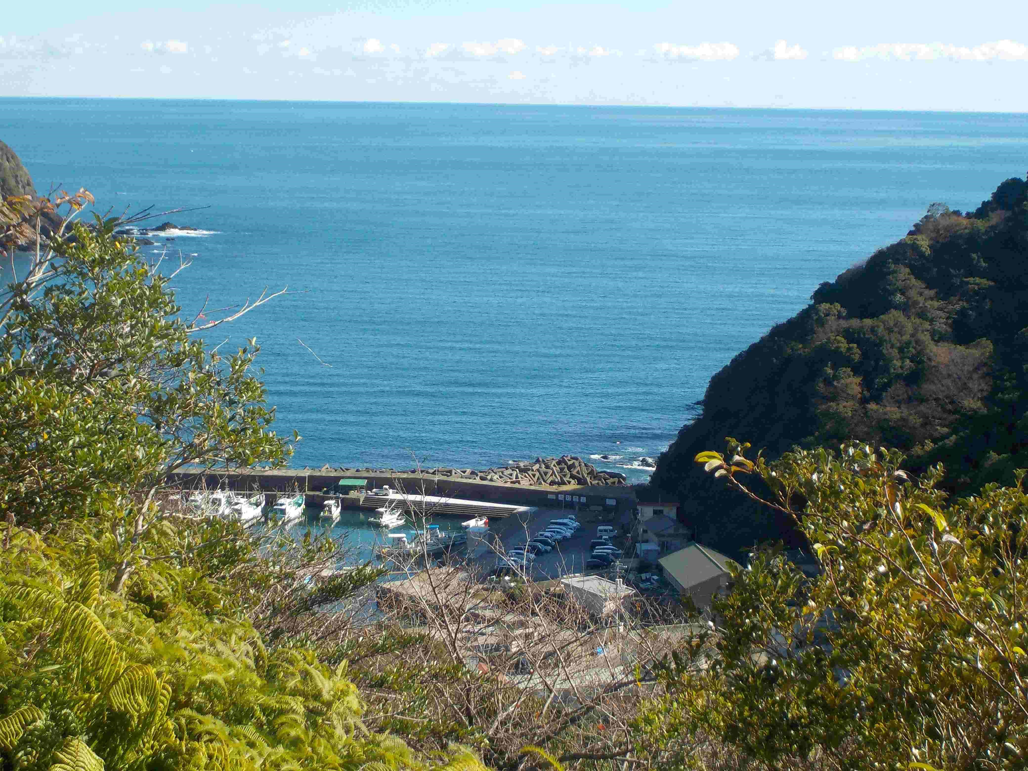 土佐湾（高知）の風景と刺し網で獲れる十脚甲殻類