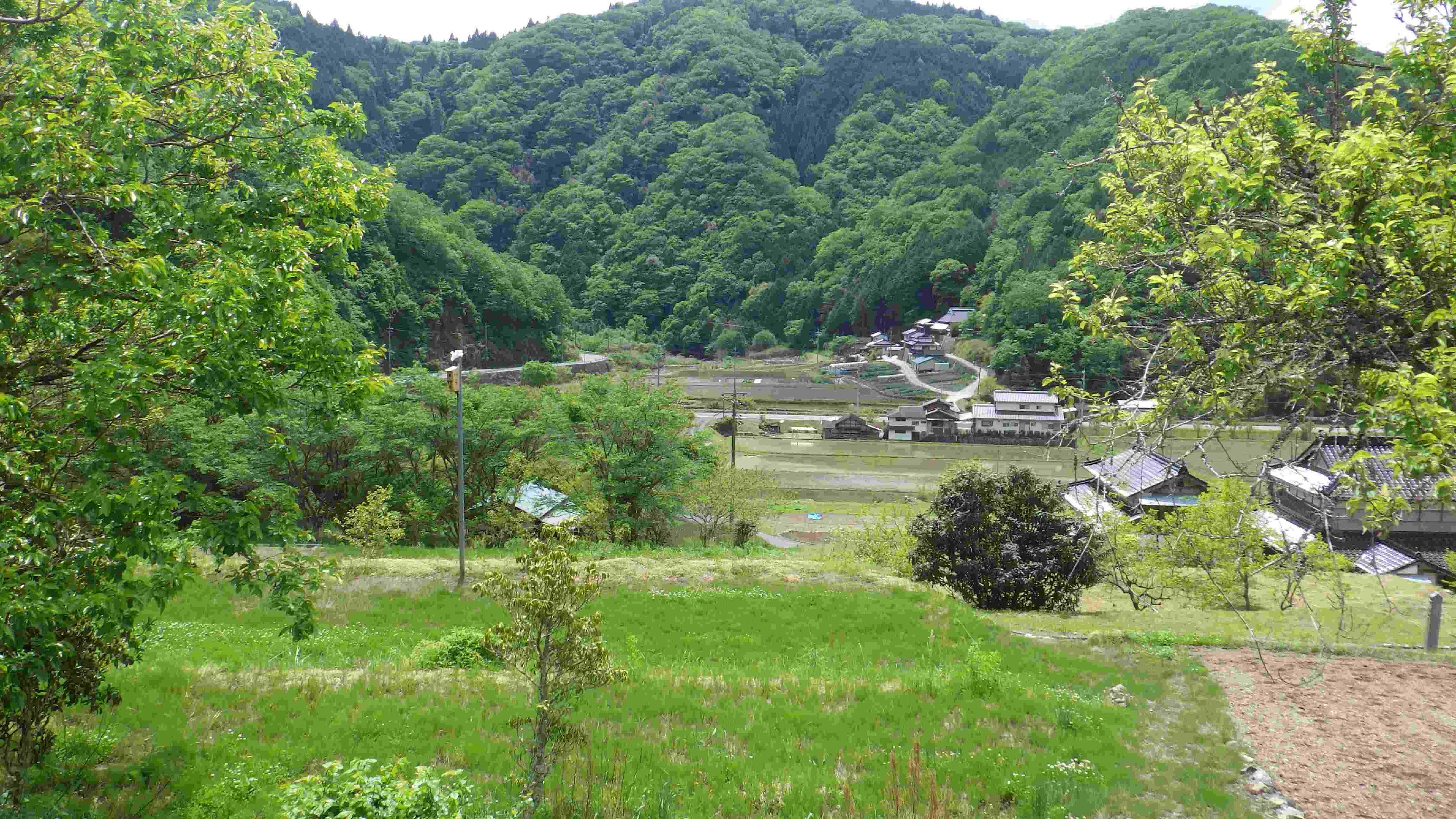 初夏の里山の景観