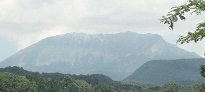 生物多様性研究・教育プロジェクト（四季折々の自然の風景と野鳥） No 29:　吉備中央町から奥大山へ