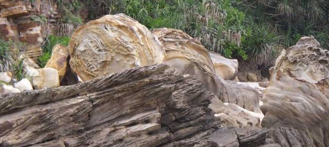 生物多様性研究・教育プロジェクト（研究と教育の原点を考える）  Ⅱ. 攻撃と防御の十脚甲殻類  2024‒No. 1：検証可能な系統分類学への道‒アナジャコ類の種分化を例に