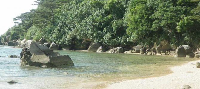 生物多様性研究・教育プロジェクト（研究と教育の原点を考える） Ⅰ. サンゴ礁とサンゴ礁原 2024‒No. 2：西表島の西海岸を歩く 　　　　　　　　　　　　　　　　　　　　　　　　　　　　　　　　　　　　　　