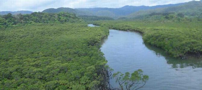 生物多様性研究・教育プロジェクト（研究と教育の原点を考える） Ⅰ. サンゴ礁とサンゴ礁原 2024‒No. 1：西表島の東側の海岸