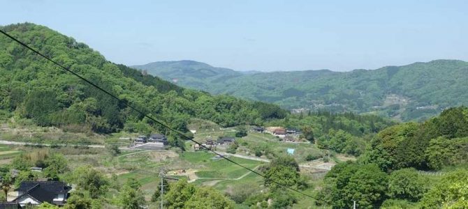 生物多様性研究・教育プロジェクト（研究と教育の原点を考える） V. ブッポウソウの飛来と子育て 2024‒No. 2: 上有漢と北房町，5月3日