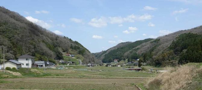 生物多様性研究・教育プロジェクト（研究と教育の原点を考える） Ⅲ. 四季折々の自然の風景と野鳥 2024‒No. 6：4月12日と13日の里山