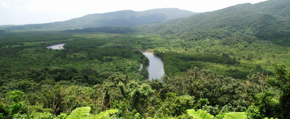 生物多様性研究・教育プロジェクト「進化生物学の研究」　2026‒No. 1：国立公園内（西表島）での生物採集と行動規範